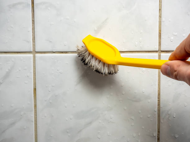 Best Local Mold Removal Service  in Grants, NM