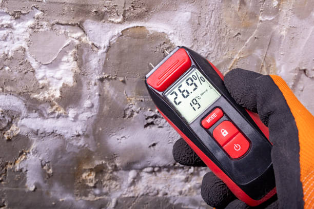 Best Office Mold Removal Services  in Grants, NM
